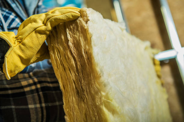 Best Insulation Installation Services in Shorewood Forest, IN